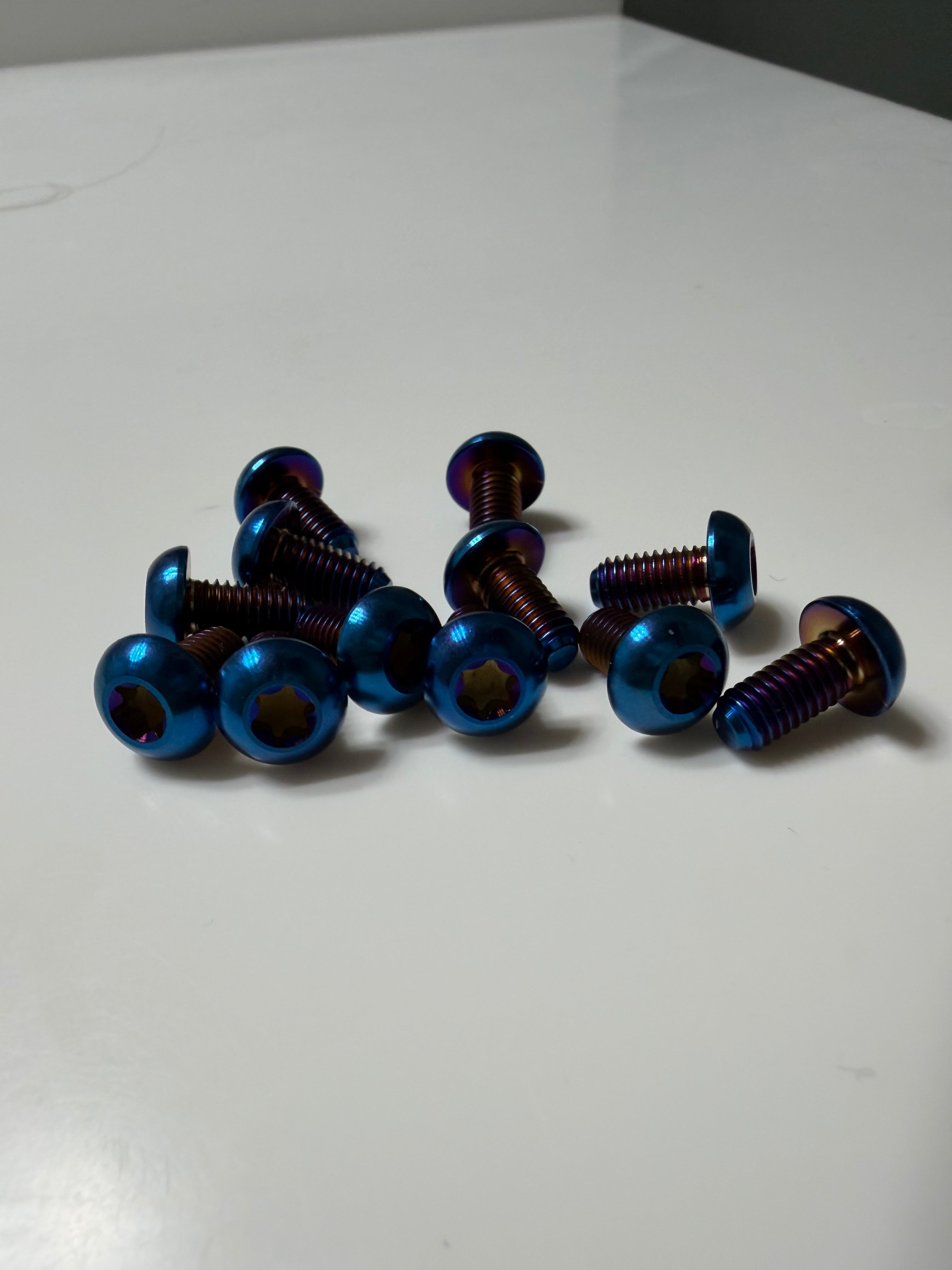 Titanium Frame Bolts