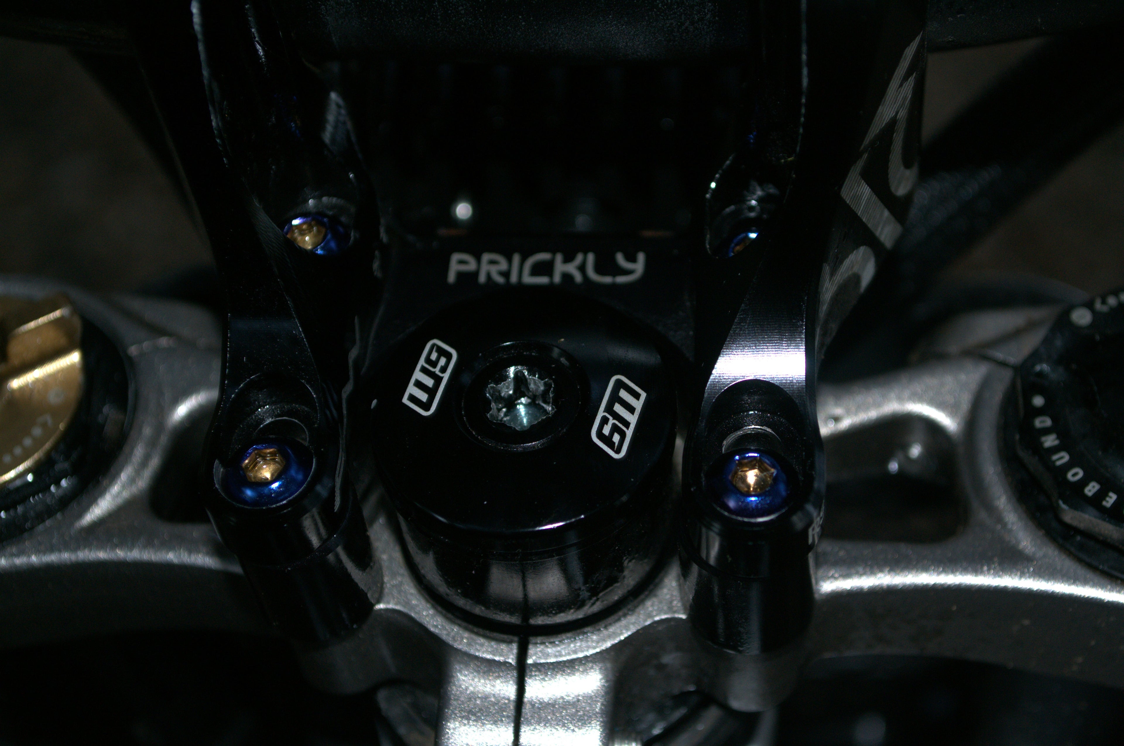 Direct Mount Ti Bolts (ONLY FOR PRICKLY RISER)