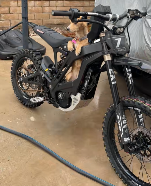 Flow Dunlop Mx34 16"- 19" Surron Segway wheelset