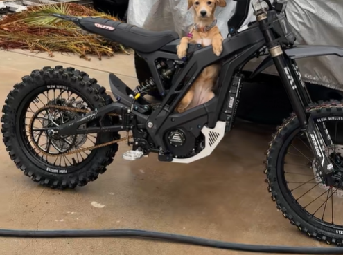 Flow Dunlop Mx34 16"- 19" Surron Segway wheelset