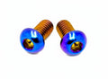 Titanium Ignition Cover Bolts Talaria MX3/MX4/MX5/XXX